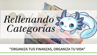 Rellena conmigo las categorías de mis gastos! 💵