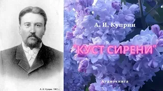 А.И.Куприн "КУСТ СИРЕНИ" |  рассказ  |  аудиокнига |