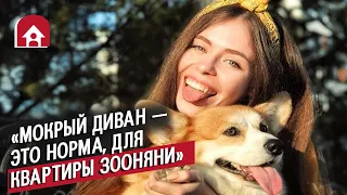 Зооняни (мимиметр зашкаливает!) | Неудобные вопросы