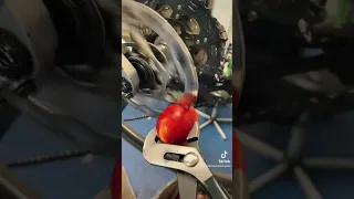 Disc Brake vs Apple #shorts