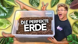 Die PERFEKTE ERDE für ZIMMERPFLANZEN - Pflanzenerde selbst mixen | Joey's Jungle Plants