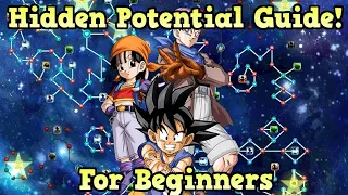 Hidden Potential Guide For Beginners! (DBZ: Dokkan Battle)