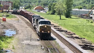 Train At The Wye Goes Under Me!  Train Comes Out Of City Tunnel, Train Pushed With DPU & New Puppy