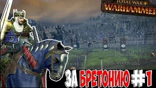 Total War Warhammer Прохождение за Бретоннию #1