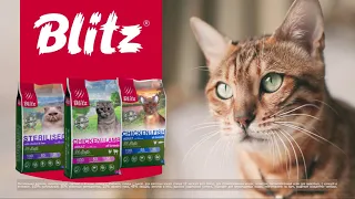 Корм для кошек. Blitz Holistic из Италии | 0+