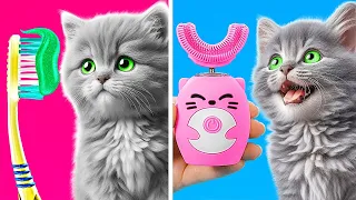 Cómo cuidar a tu mascota 😼 *Gadgets y TRUCOS para dueños de mascotas*