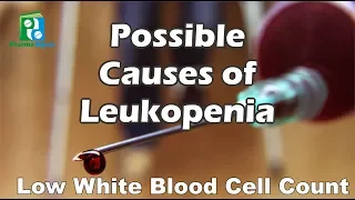 Possible Causes of Leukopenia