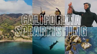 Spearfishing off the West Coast | A Surfer’s First