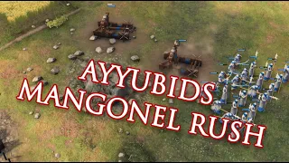Ayyubid Fast Castle (Season 6 Build Order) | AoE4