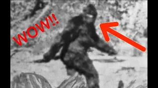 Actual Bigfoot Footage!