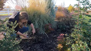 Pros & Cons of Fall vs. Spring Garden Cleanup! 🍂✂️🤎 // Garden Answer