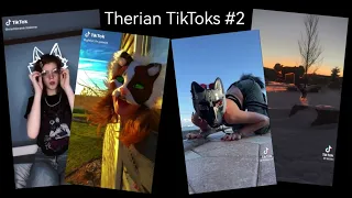 Therian TikTok Compilation #2