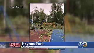 Strong Storms Sweep Through Delaware Valley, Toppling Trees