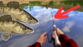 ACTIVE VOLGA ZANDER SPOT FROM SHORE! #939 Russian fishing 4