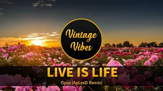 Opus - Live Is Life (ApLeeD Remix)