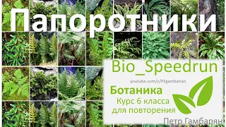 18. Папоротники (Speedrun ботаника 6 класс, ЕГЭ, ОГЭ 2021)