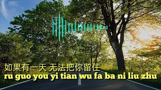 Ru Guo You Yi Tian Wu Fa Ba Ni Liu Zhu   如果有一天無法把你留住 Karaoke no vocal