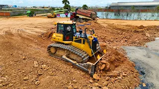 Best Filling Lake Project by Bulldozer SHANTUI Pushed & Team Truck 25 5 Ton Spread Soil,80% to Final