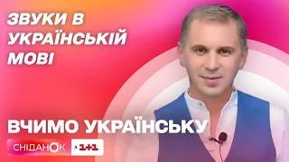 Звуки в українській мові – Вчимо українську