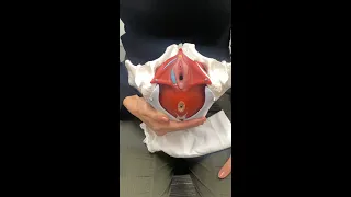Pelvic Physiotherapy - Splinting the perineum technique postpartum