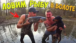 ЛОВИМ РЫБУ РУКАМИ В БОЛОТЕ С ВИТАЛИК ИГНАТЮК! / Виталий Зеленый