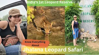 Jhalana Leopard Safari I My Experience & Details That You Need To Know Before Visiting The Reserve