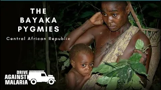 THE BAYAKA PYGMIES