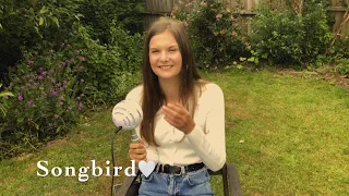 Songbird | Fleetwood Mac Cover | Bobbie Lucy