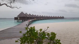 Thulhagiri Island Resort & Spa Maldives review room tour