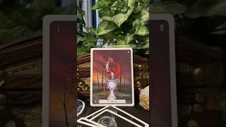 Friday, September 2, 2022  -  TAROT SCOPE  Daily Energy 🧨 #Predictions #short