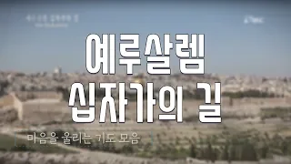 예루살렘 십자가의 길 Via Dolorosa