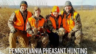 Pennsylvania Pheasant Hunting