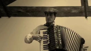 Beer barrel polka - accordion cover