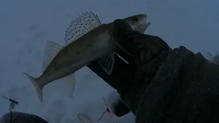 Рыбалка на судака. Рыбалка в ветер и снег на обском водохранилище.