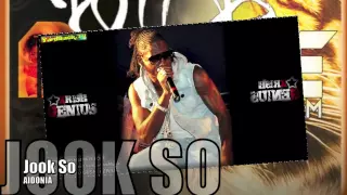 Aidonia - Jook So (Raw) [Wild Bubble Riddim] Aug 2012