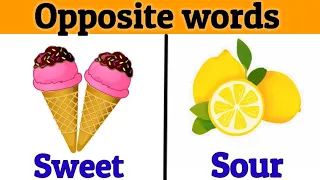 Opposite words in English | opposite words for kids | Opposite words in English | Educational video