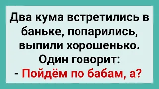 Два Кума после Бани, Решили Пойти по Бабам! Сборник Смешных Свежих Анекдотов для Настроения!