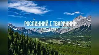 Рослини і тварини Північної Америки. ЯДС 4 клас