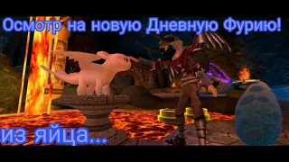 ДНЕВНАЯ ФУРИЯ ИЗ ЯЙЦА? ЧТО-ТО НОВЕНЬКОЕ | School of Dragons