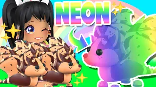 MAKING a *NEON* CHOCOLATE CHIP BAT DRAGON in ADOPT ME (roblox) WINTER UPDATE