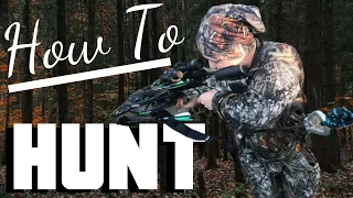 HOW TO HUNT: Deer hunting 101 - WHITETAIL DEER HUNTING Tips For Beginners