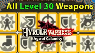 Hyrule Warriors: Age of Calamity | ALL Level 30 Weapons' Hidden Seals for Every Character's Best