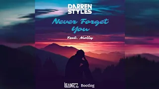 Darren Styles Feat. Molly - Never Forget You (LeaNicz Bootleg)