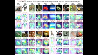 CNN | Channel / Spatial Attention | Image Classification | explaining with GradCAM | python