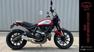 Ducati Scrambler Icon 800 (2015) - Video Walk Around