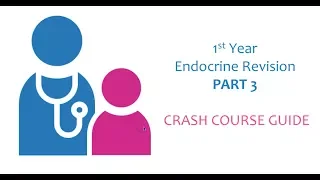 ENDOCRINE REVISION - Part 3