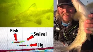 Whitefish SLAYDAY (Underwater & Panoptix Views)