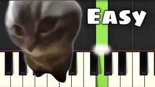 Chipi Chipi Chapa Chapa (Cat Meme) | Easy Piano Tutorial