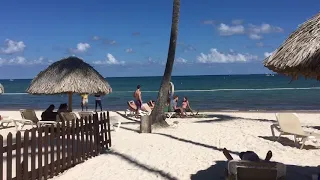 White Sand Beach at Dreams Palm Beach Punta Cana Resort Dominican Republic