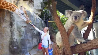 CAMPING OVERNIGHT IN THE SYDNEY ZOO